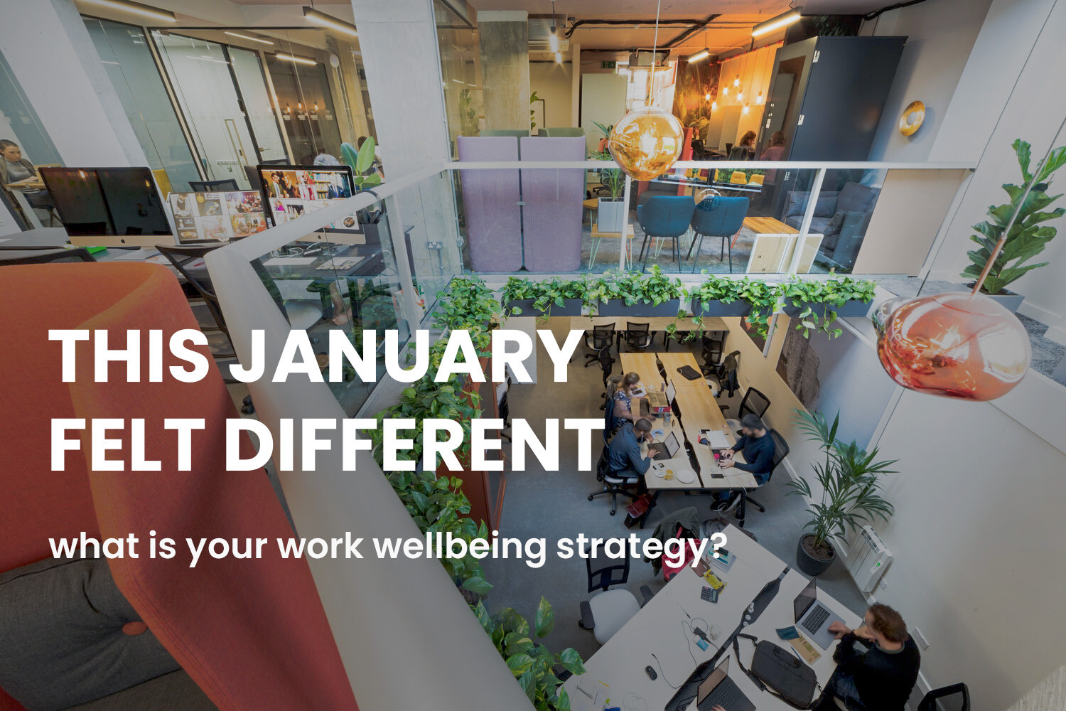 Picture of Strategising Wellbeing in Workplace Design